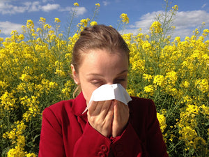 10 Sneeze Stopping Strategies (2019): Take Control of Allergy Season