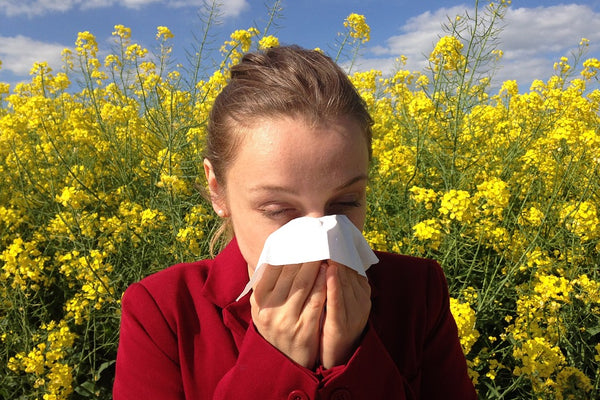 girl has allergies from pollen flower and wipe his nose by tissue paper