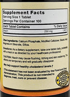 Niacin 250 mg (Timed Release) 100 Tablets by Natures Blend - Image 2