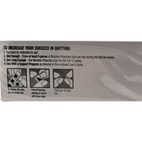 Nicotine Gum 4mg (Coated Fruit Flavor) 100 Pieces - Image 3