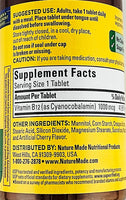 Vitamin B12, 1000 mcg (Fast Dissolve) by Nature Made - Image 2