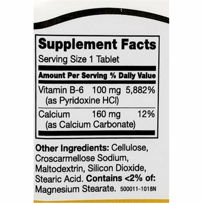 21st Century Vitamin B6 100 mg 110 Tablets 