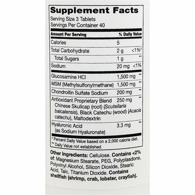 21st Century Glucosamine Chondroitin Advanced, 120 Coated Tablets